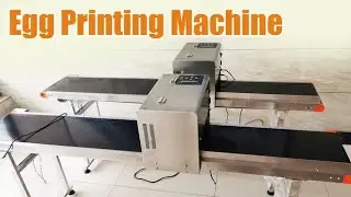 Powerful Bone Crusher and Meat Grinder | Grind Bones & Frozen Meat Easily
