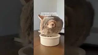 🦷 Салфетки для зубиков с ВБ: #683767870