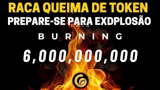 Token RACA Subiu FORTE com Redu&ccedil;&atilde;o no SUPPLY