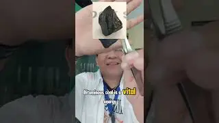 Sedimentary Rock BITUMINOUS 🌍