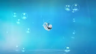 Pok&eacute;dex #339: Barboach