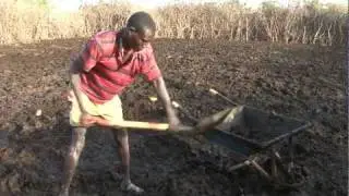 Bio-gas pilot project meets energy and safety needs for rural families in Uganda