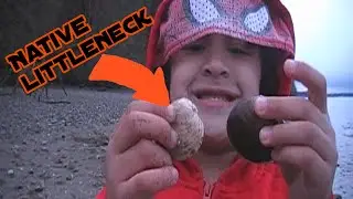 WA (Shell)fish Quest EP 52: Native Littleneck Clam