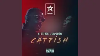 Catfish (feat. Snap Capone)