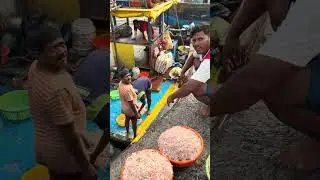 sassoon dock fish market colaba mumbai
