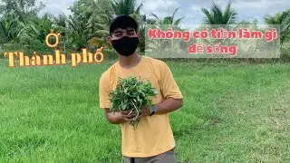 Kh&ocirc;ng c&oacute; tiền l&agrave;m g&igrave; để sống | TM81
