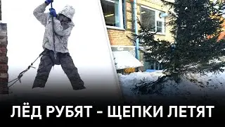 Рядом с колледжем культуры и искусств поломали ели