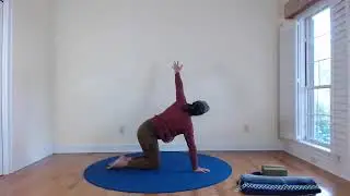 Anusara Yoga: Connection to Shin Loop and Thigh Loop - Learn Yoga Loops from Lisa Long, MA