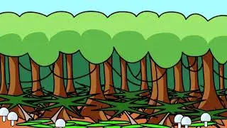 La foresta pluviale