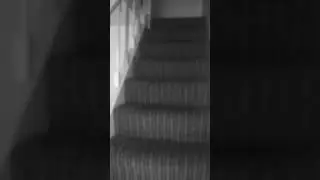 Casa groazei😱😱🥶 Click aici pentru a te speria