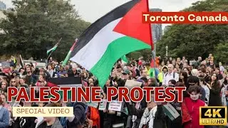 Toronto's Palestine Protest: A Cultural Revolution?