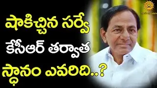 Who is the Next cm of Telangana  KCR Latest Survey Report | KTR vs Harish Rao | Media Masters