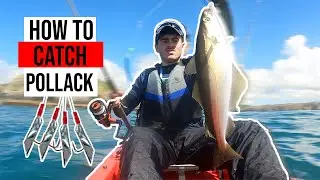 How to CATCH and DISPATCH Pollock - Kayak Fishing UK - Solva Pembrokeshire