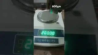 scale tec calibration 600gm 10mg