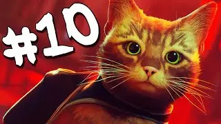 Stray - Walkthrough - Part 10 - Midtown (PC UHD) [4K60FPS]
