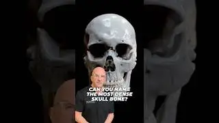 Удивительные факты о костях черепа!