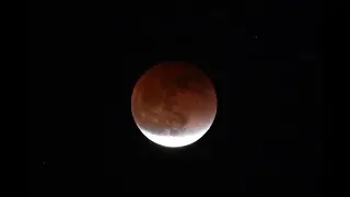 Super Flower Blood Moon 2022