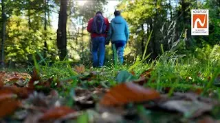 Herbstwandern in der NORDPFADE-Wanderregion
