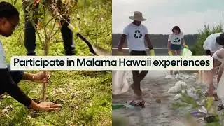 Hawaii Sustainable Travel and M lama ina