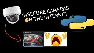 Watching random public IP cams (raw recording)