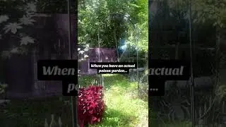 Uploading some older goth gardening stuff 💀🥀 #gothgarden #gothic #goth #gardening #poison