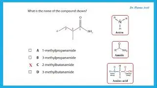 Organic Nitrogen Compounds Q & A Part 1 -  A2 Chemistry Edexcel -  Dr  Hanaa Assil