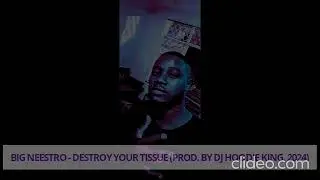 Big neestro - Destroy your tissue (prod by Dj Hoodie King 2024)