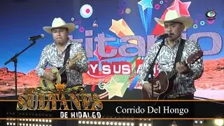 Los Sultanes De Hidalgo - Corrido Del Hongo (Video Oficial)