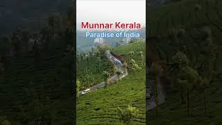 Munaar kerala #trendingshorts #munaar #kerala