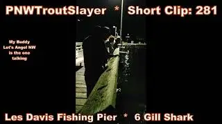 Short Clip #281 (Les Davis Fishing Pier) (6 Gill Shark)