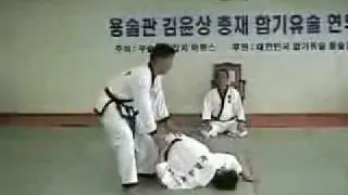 Хапкидо Хапкиюсуль