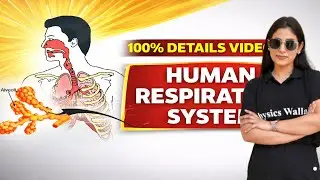 Human Respiratory System Explained | 100% Detailed Video | Class 9&ndash;10 Biology