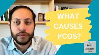 The Mechanisms Causing Polycystic Ovarian Syndrome (PCOS)