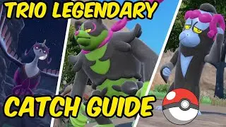 TEAL MASK LEGENDARY POKEMON LOCATIONS! Uncover the Secret Locations!