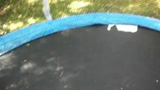 trampolining vol.4 (head cam individual)