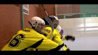 Final Liga Regular LSHN 2018
