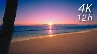 12 Hours of Calm Ocean Waves | 4K Cinematic ASMR to Cure Insomnia and Relax
