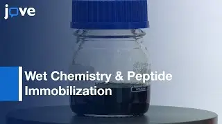 Peptide Immobilzation on Polytetrafluoroethylene To Improve Cell Adhesion