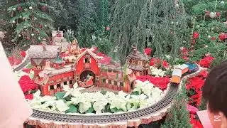 💕Train Show at Flower Dome sg💕