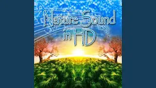 Country Evening Meditation for Tranquility and Emotional Healing
