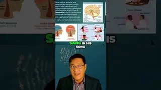 Understanding Addiction  The Hidden Truths Behind Self Soothing