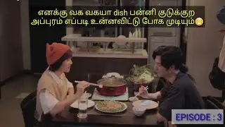 Cat and Human Boy love || Episode 3 || Tamil explain