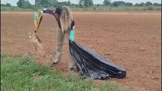 PROJETO CAMINHO LIMPO BR RESULTADO FINAL 2025