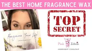 My REACTION to the NEW Pink Zebra Catalog!! | Independent Consultant