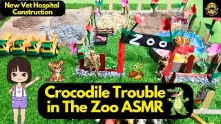 Crocodile Trouble ASMR for Kids | Toy Zoo Story with Erica | Animal Rescue Play