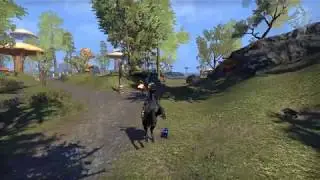 ESO - Hollowjack Rider Horse effects (female)