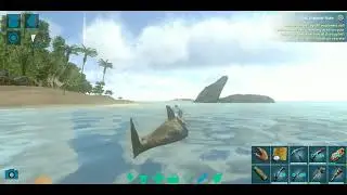 taming pertadon