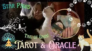 Гадание на картах Таро и Оракула 💖🧘🏽‍♀️🐈: Звездные Лапы и Хвост Гайи, шаманское послание от Гайи ...