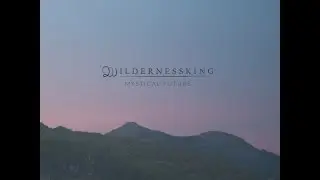REVIEW: Wildernessking - Mystical Future