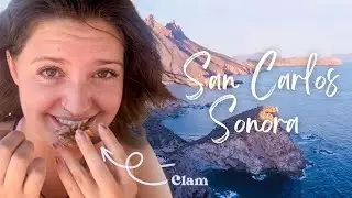 San Carlos Nuevo Guaymas Mexico Beach Vlog